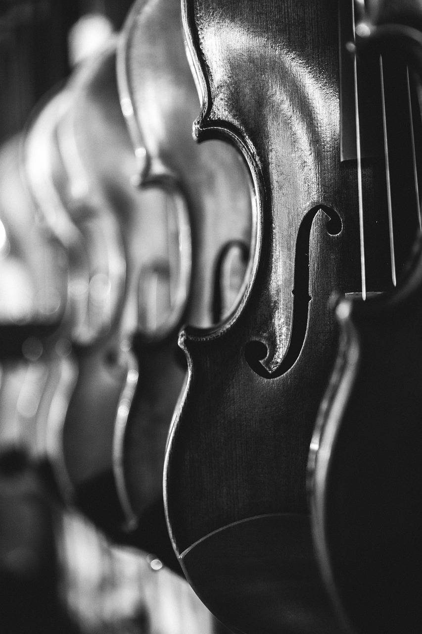 violins, instruments, music, musical instruments, antique, classical music, bowed stringed instruments, classic, sound, vintage, monochrome, black and white, music, music, music, music, music, sound, sound, vintage